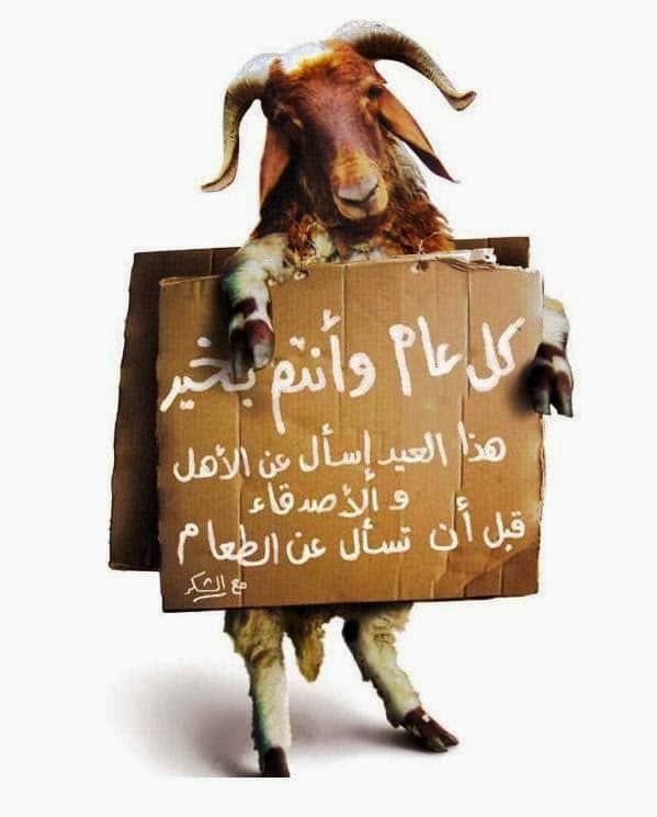 تحميل صور عيد الاضحى ٤