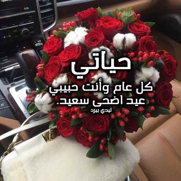 كلمات معايدة للحبيب
