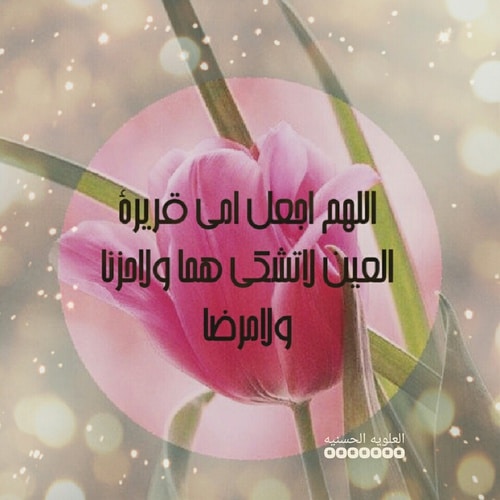 يارب اشفي امي الحبيبة