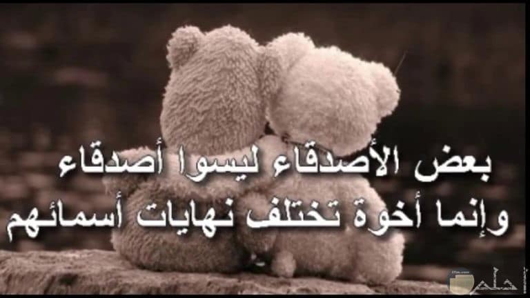اجمل الصور والعبارات عن الصداقة ٣