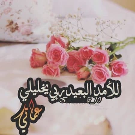 إلى عمتي الحبيبة ١