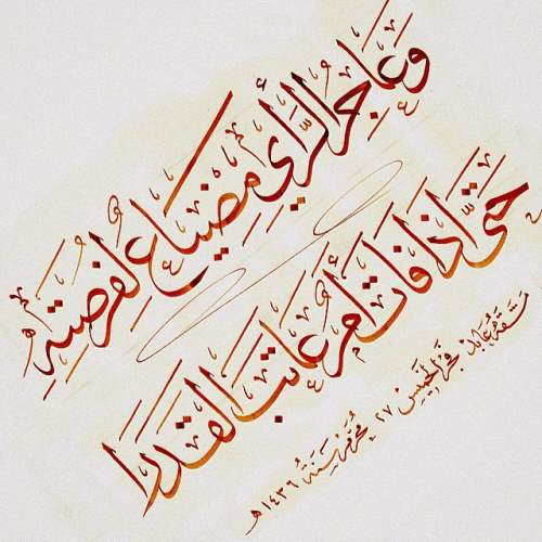 عبارات عن الحياة قصيرة