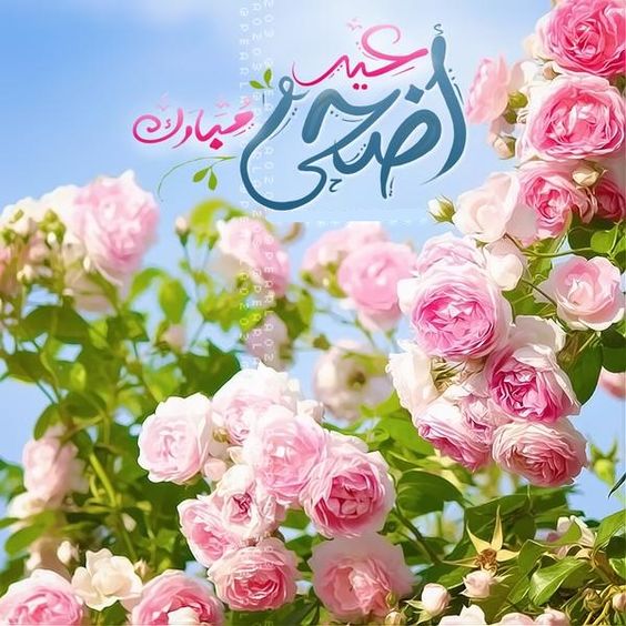 تهنئة عيد الاضحى لصديقتي