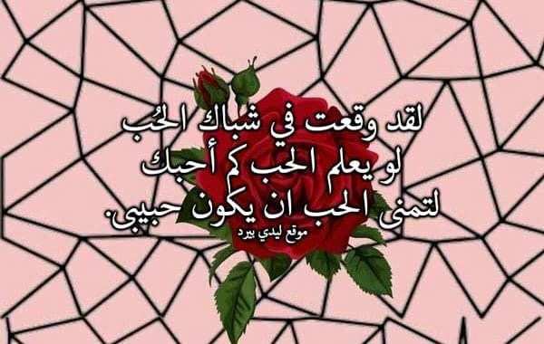 كلام حب للحبيب قبل النوم