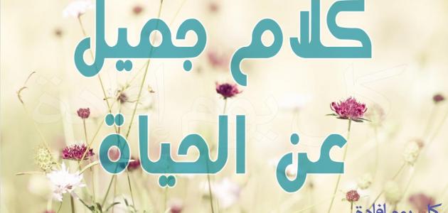 كلام جميل عن الحياة والحب