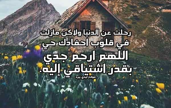 رحيل جدي ١