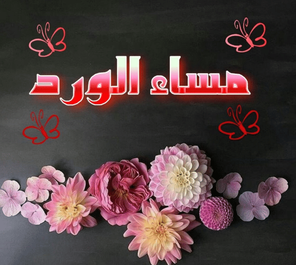 مساء الخير حبيبتي