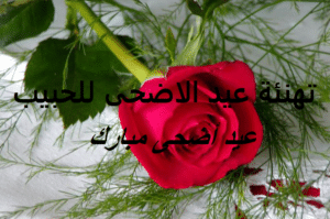 تهنئة عيد الاضحى للحبيب