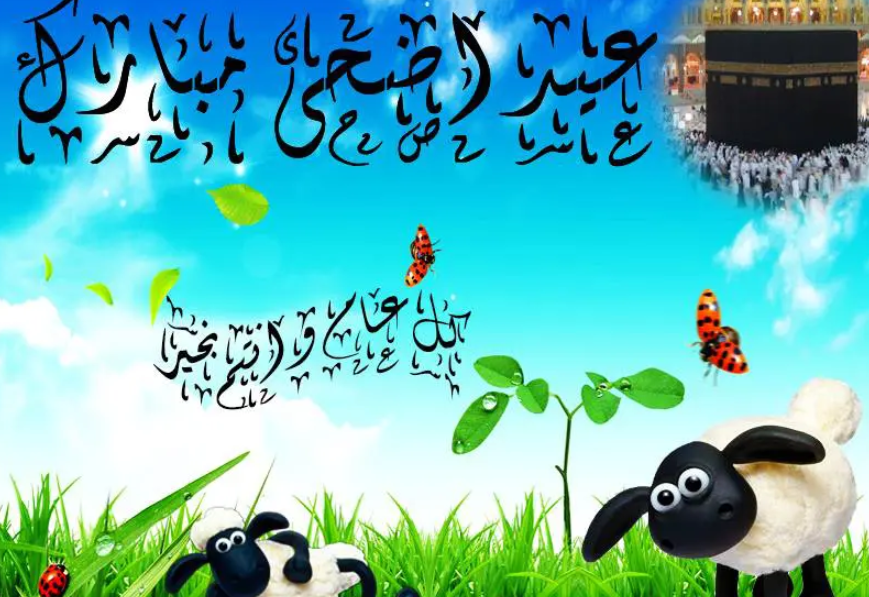 اجمل الصور لعيد الاضحى المبارك1