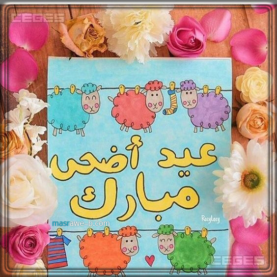 اجمل الصور لعيد الاضحى المبارك11