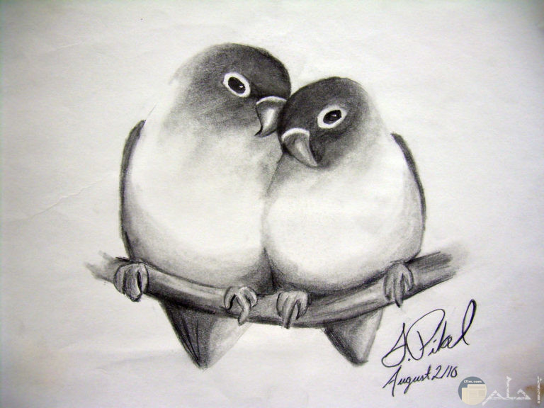 رسومات كيوت بالرصاص4