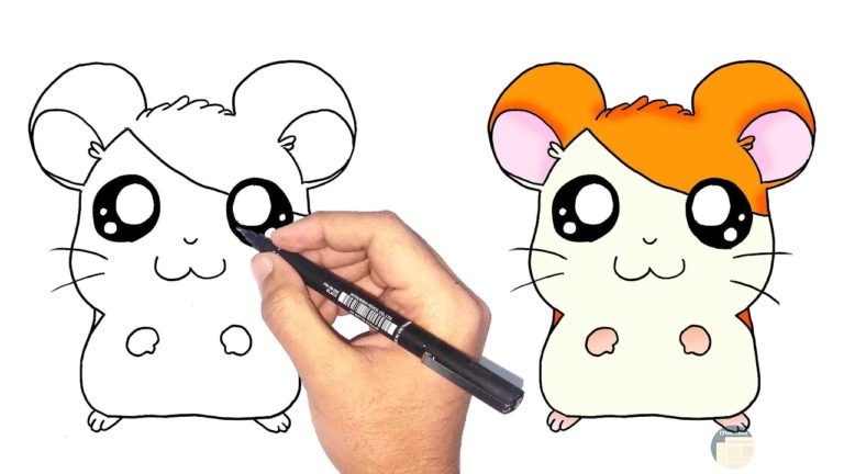 رسومات سهلة1