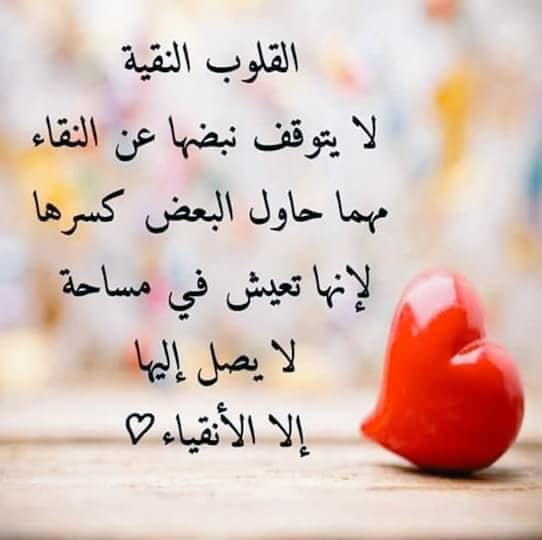 عبارات فلسفية قوية