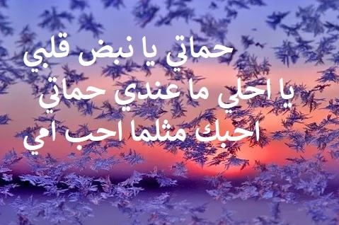 مسجات لحماتي