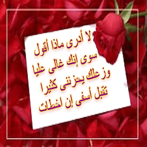 كلام اعتذار للحبيب تويتر