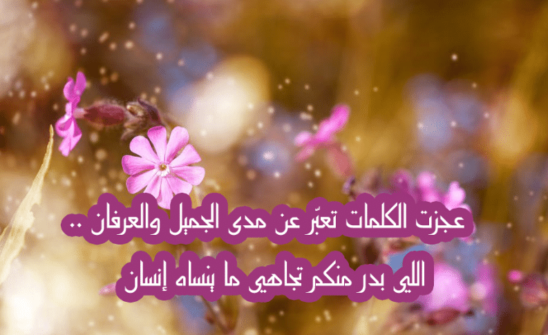 كلمات شكر وثناء لشخص عزيز