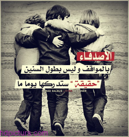 كلام عن الصداقة