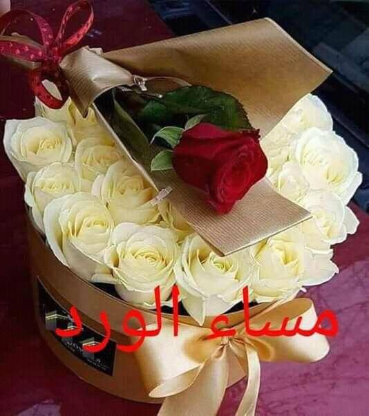 مساء الخير مسجات