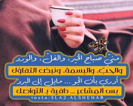 مساء الخير شعر بدوي