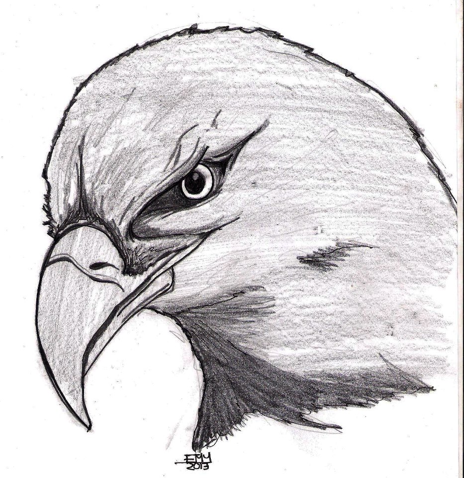 رسومات سهلة4