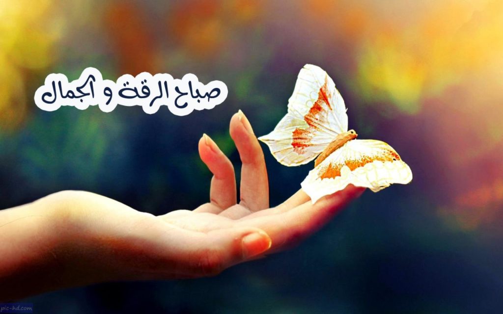 حالات صباح الخير حبيبي