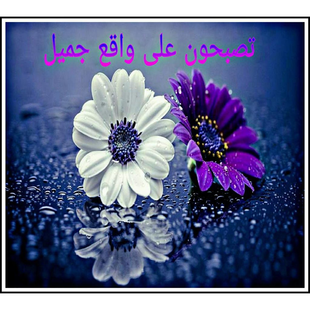 تصبحون على واقع اجمل3
