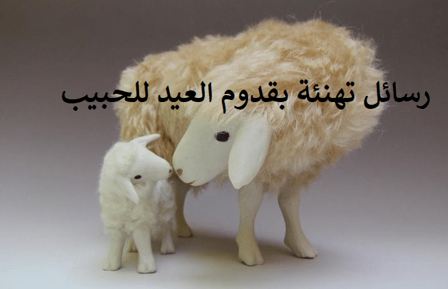 رسائل تهنئة بقدوم العيد للحبيب