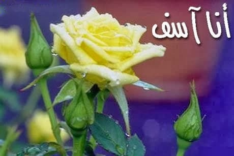 رسالة اعتذار لحبيبتي تويتر