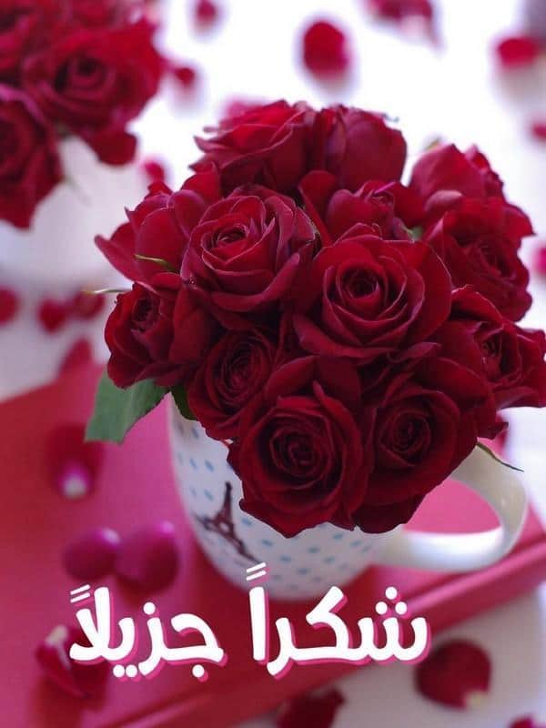 كلمات شكر لصديق غالي