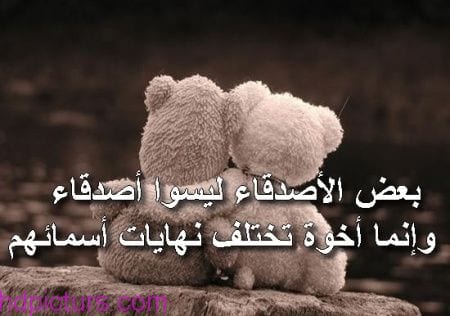 كلمات عن الصداقة والأخوة