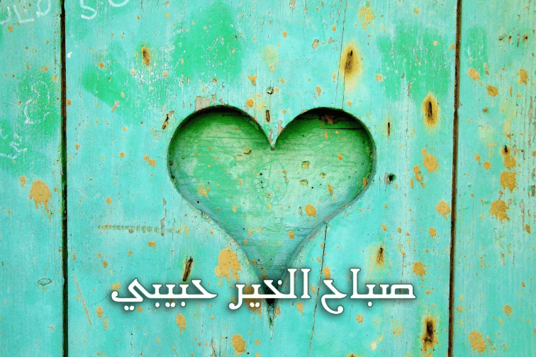اجمل صباح الخير حبيبي