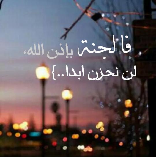 حكم دينية تويتر