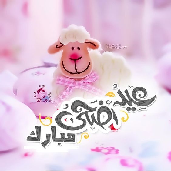 رسالة إلى حبيبتي في العيد