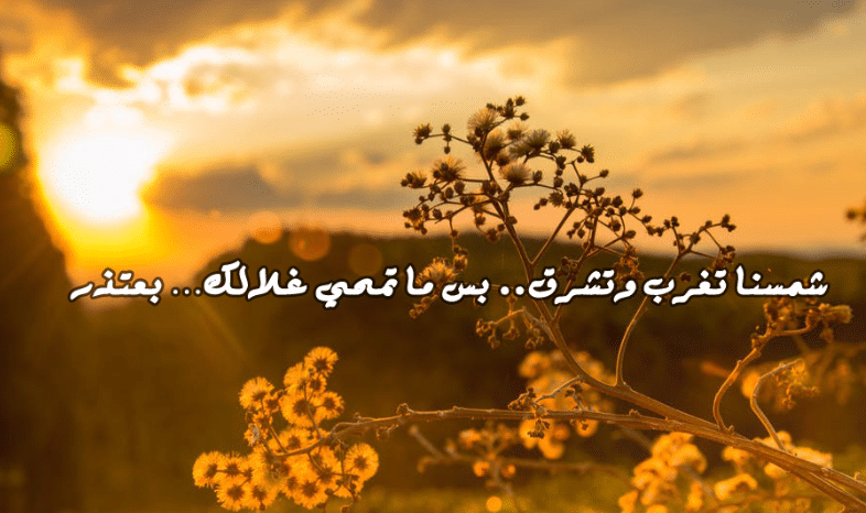 رسائل اعتذار قصيرة
