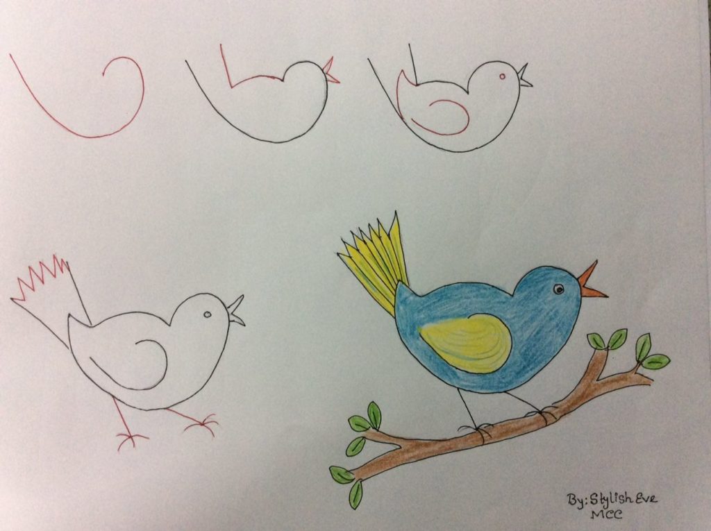 رسومات للمبتدئين1