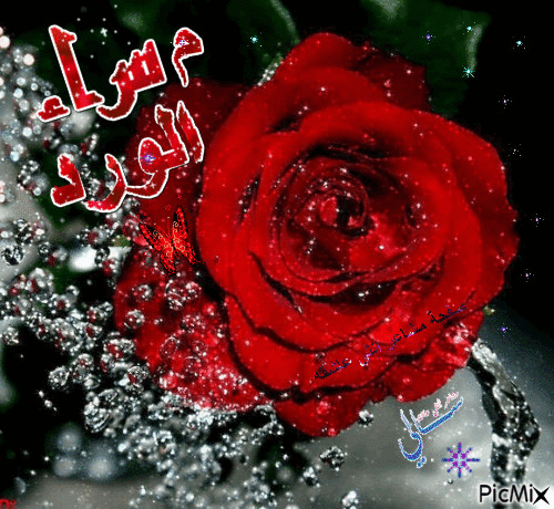 مساء الخير حبيبي متحركة3