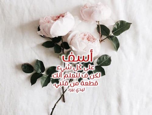 رسالة اعتذار للحبيب قوية