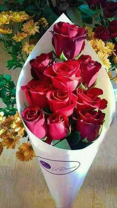 عبارات شكر وتقدير للأصدقاء