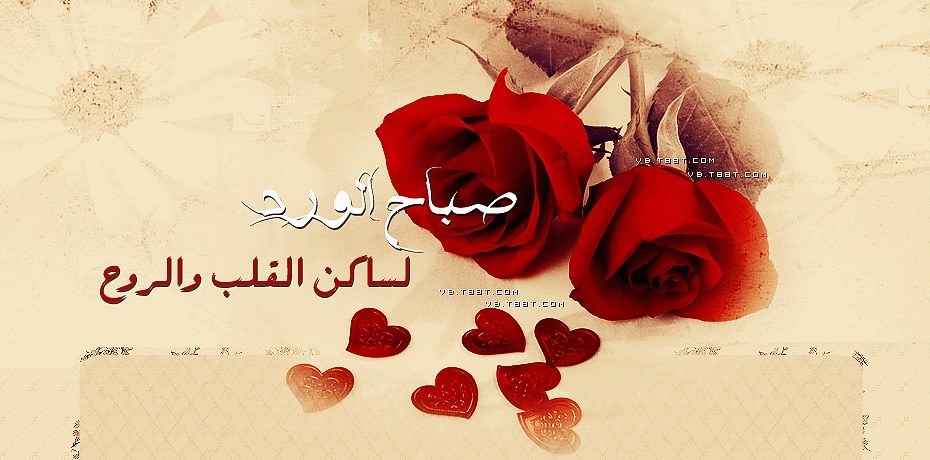 صباح الحب ياقلبي