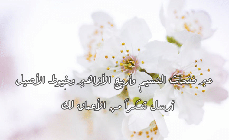 كلمات شكر لصديق غالي