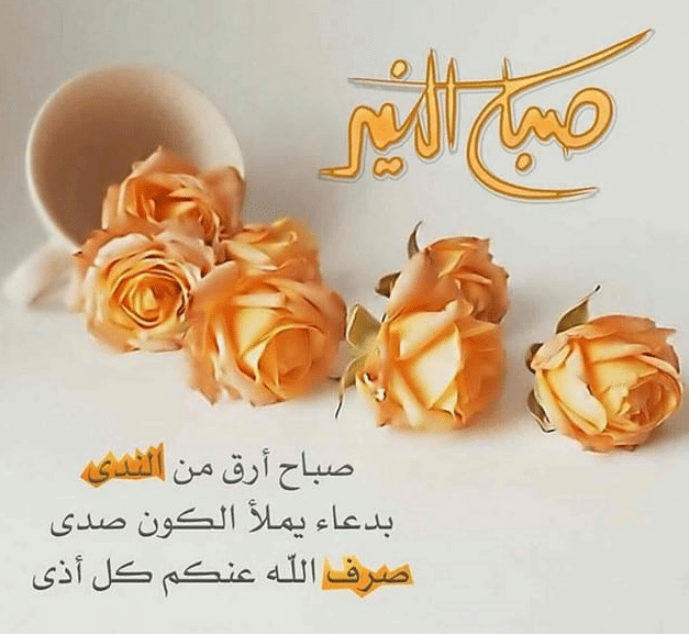 صباح الخير للاصدقاء بالصور1