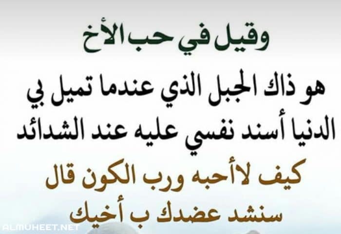 عبارات عن الأخ الصغير