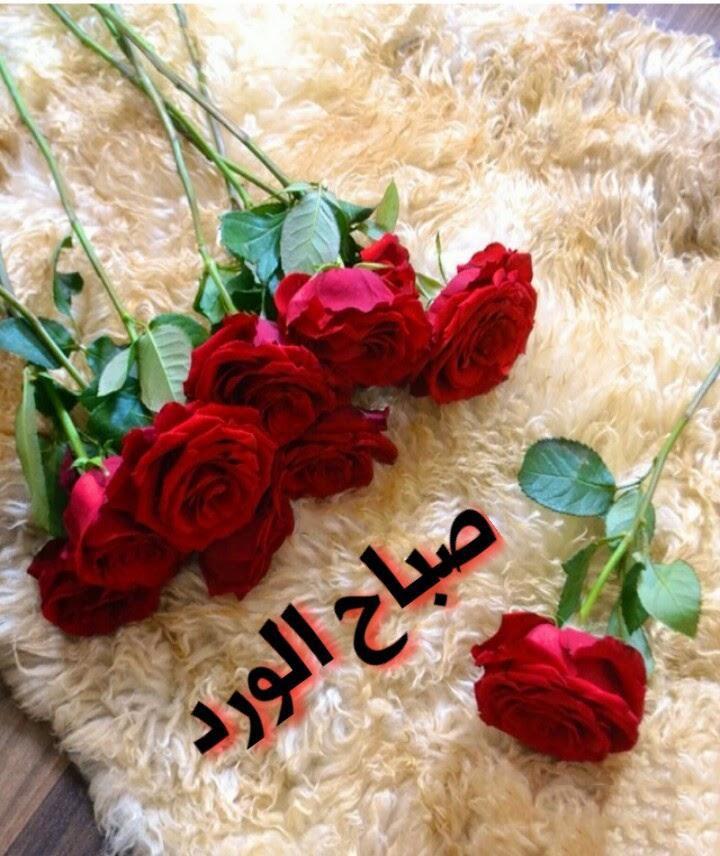 بوستات صباح الخير حبيبتي