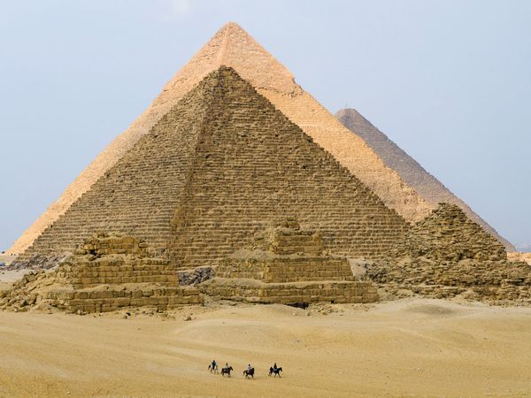 كلمات بالعامية المصرية - كلمات مصرية سب