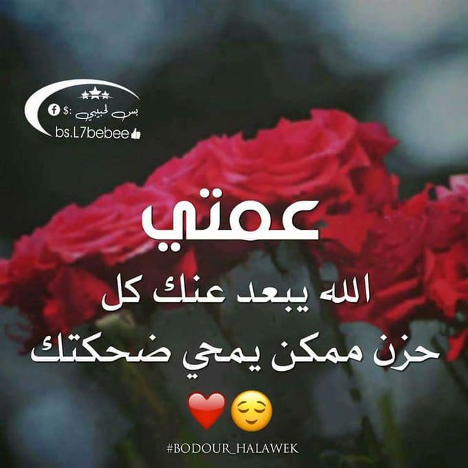 عمتي كل عام وانتي بخير