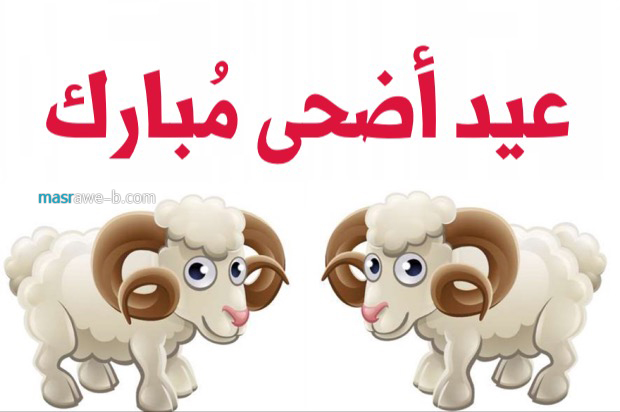 اجمل الصور لعيد الاضحى المبارك7