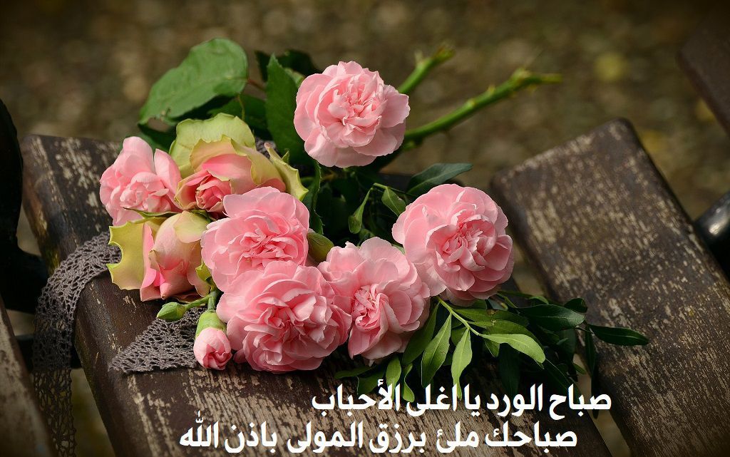 صباح الخير للاصدقاء بالصور2