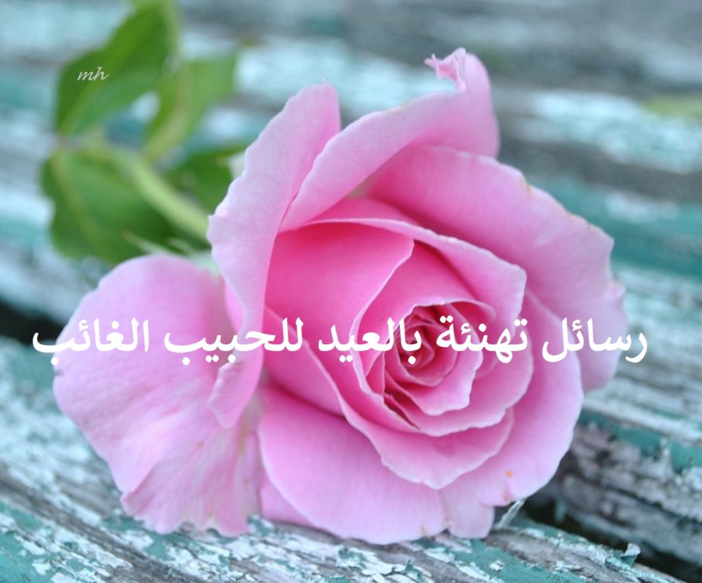 رسائل تهنئة بالعيد للحبيب الغائب