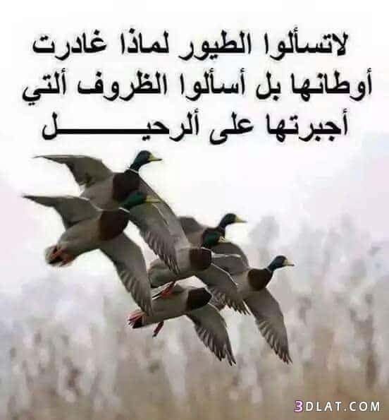 حكم وأمثال عظيمة