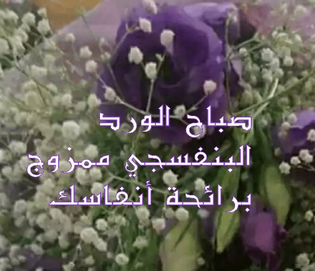 صباح الخير حبيبي
